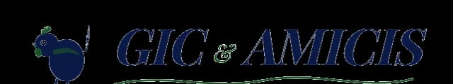 GIC Amicis — ETS ARTCONCEPT