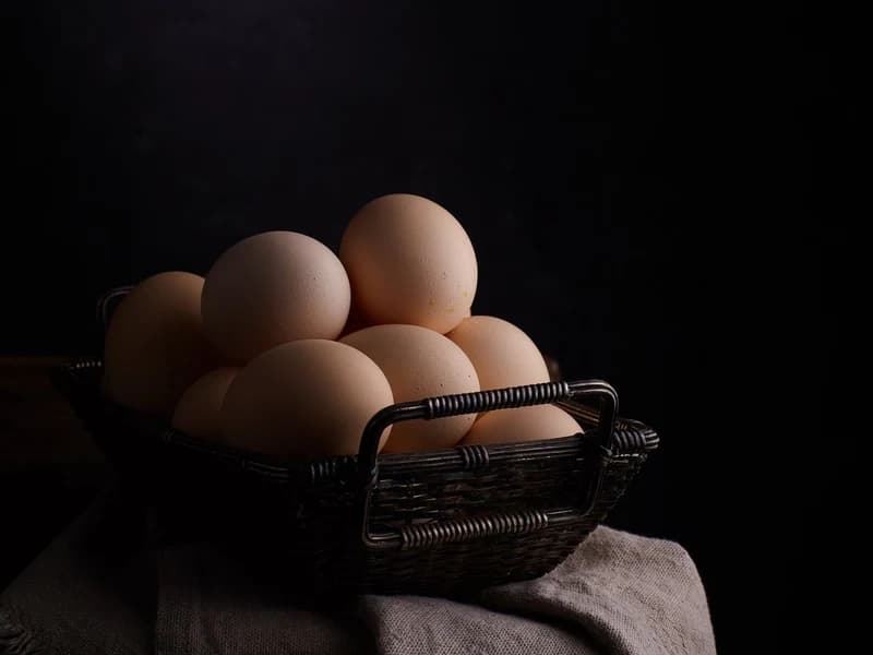 Œufs de poulets